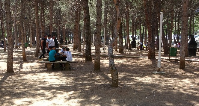 Sıcaktan bunalanlar piknik alanlarına akın etti