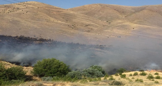 Elazığ’daki orman yangını söndürüldü
