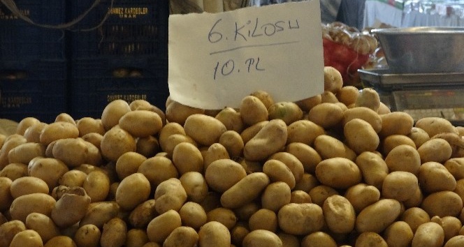 Türkiye’de bu yıl 5 milyon ton patates üretimi bekleniyor