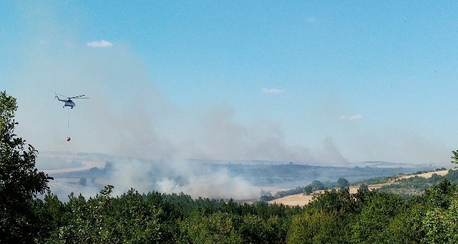 Tekirdağ’da orman yangını: Havadan ve karadan müdahale ediliyor