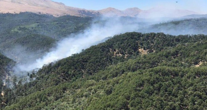 Kızıldağ’da orman yangını