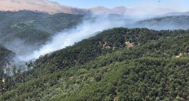 Kızıldağ’daki orman yangını kontrol altına alındı