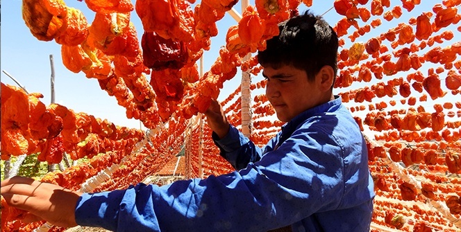 Gastronomi kenti Gaziantep kırmızıya boyandı