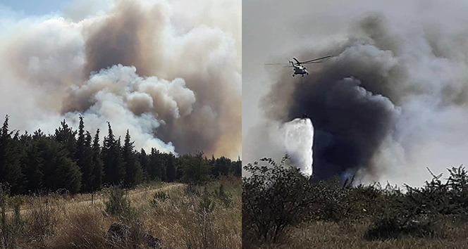 Edirne’deki orman yangını kontrol altına alındı