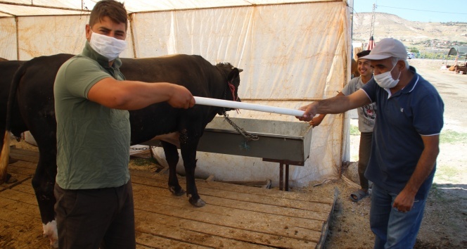 Kurban pazarlarının yeni trendi: Pazarlık borusu