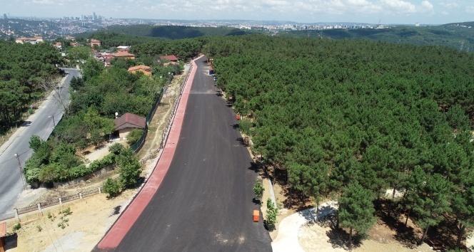 İstanbul&#039;un en büyük mesire alanı Kanuni Sultan Süleyman Şehir Ormanı açıldı