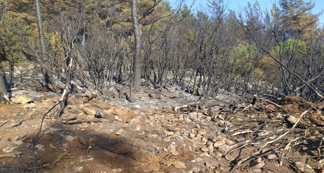 Burdur’da orman yangını 4 saatte kısmen kontrol altına alındı