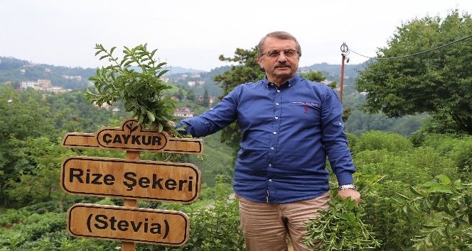 ÇAYKUR Eski Genel Müdürü İmdat Sütlüoğlu iddialara cevap verdi