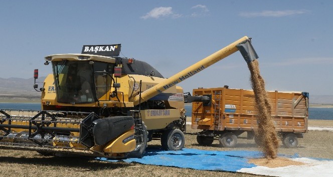 Bitlis’te 100 milyon TL’lik buğday hasılatı bekleniyor