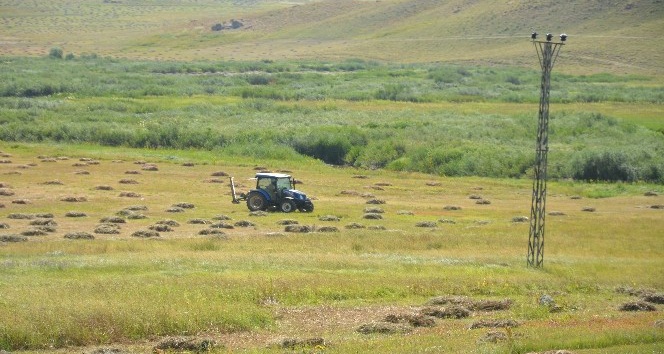 Şırnak’ta kavurucu sıcaklar altında kış mesaisi başladı