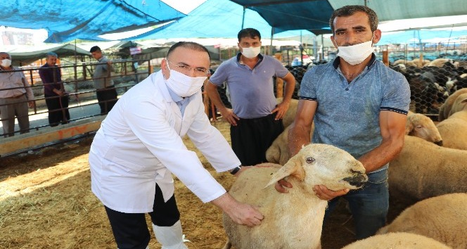 Et Ve Süt Kurumu Elde Kalan Kurbanlıkları Alacak Adana