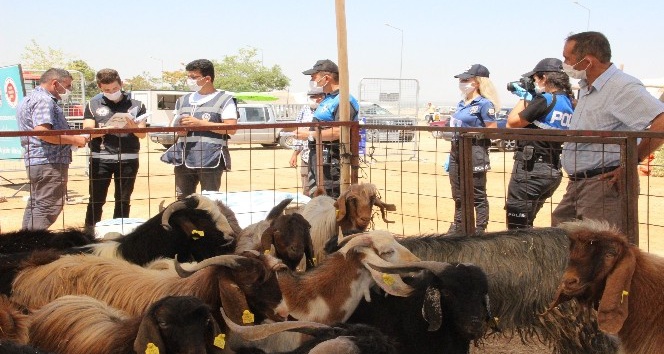 Polisin verdiği sahte parayı kontrol etmeden aldılar