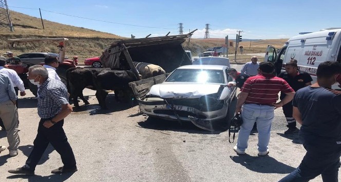 Otomobil hayvan taşıyan traktörle çarpıştı: 1 yaralı