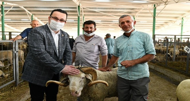Başkan Kanar hayvan pazarını ziyaret etti
