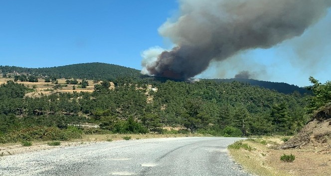 Çanakkale’de orman yangını