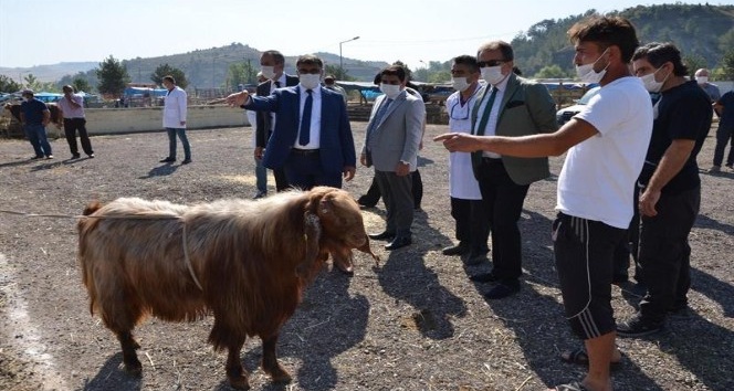 Vali Gürel hayvan pazarını denetledi