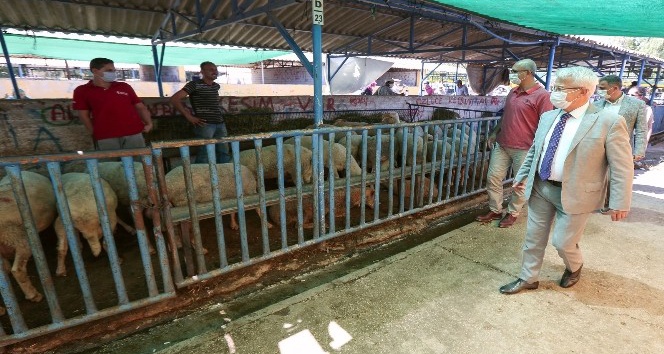 Başkan Erdem’den hayvan pazarına ziyaret