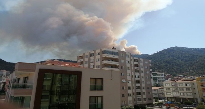 İzmir’in Balçova ilçesinde orman yangını çıktı. 2 helikopter ve 5 arazözle yangına müdahale edilirken, dumanlar kilometrelerce uzaktan bile görülüyor.