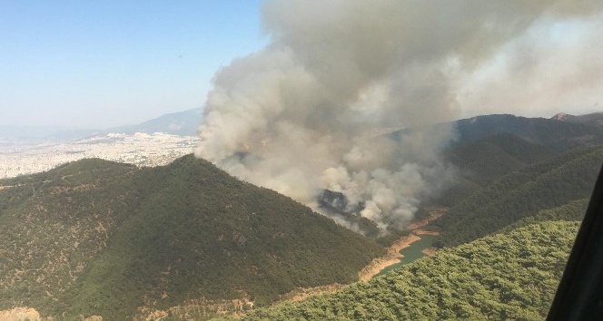 İzmir’de büyük orman yangını