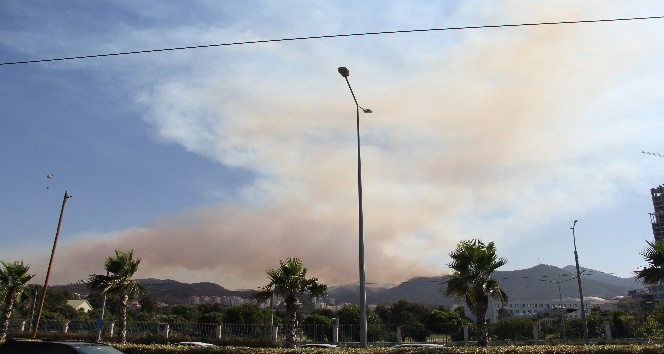 İzmir Balçova’daki orman yangını devam ediyor