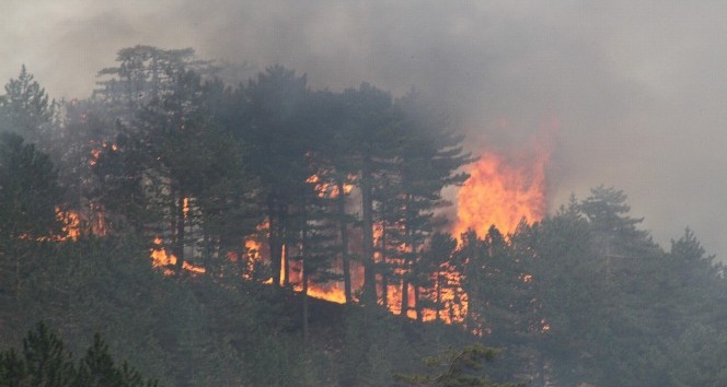 Konya’da çıkan orman yangını kontrol altına alınamıyor