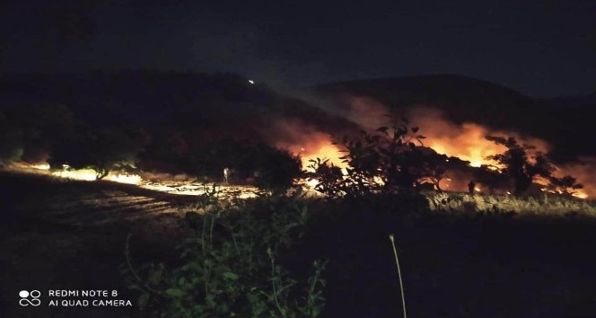 Malatya’da dağlık alanda çıkan örtü yangınına müdahale ediliyor