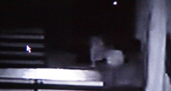 Camide uyuyan adamın parasının çalınması kamerada