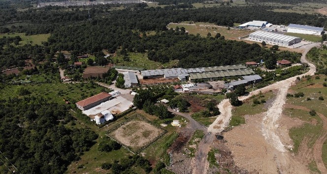 Türkkan’ın çiftliğindeki kaçak yapılar mahkeme kararı sebebiyle yıkılamıyor