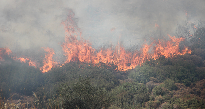 İzmir&#039;deki yangınların ardından itfaiye personellerinin izinleri kaldırıldı