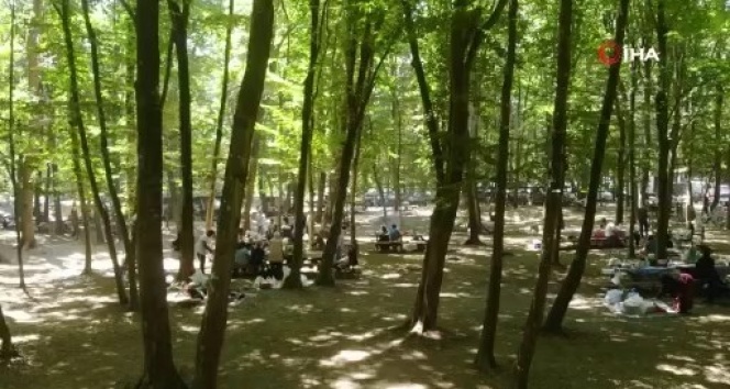 İstanbul’da kalan vatandaşlar Belgrad Ormanı’na akın etti