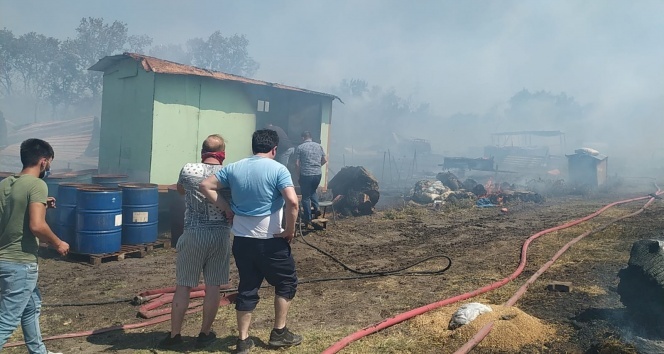 Bursa’da çiftlikte çıkan yangın ormana sıçradı: 20 küçükbaş telef oldu