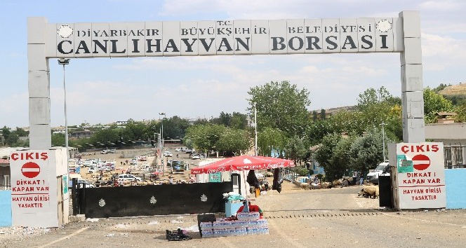 Diyarbakır’da kurbanlık fiyatları bayramın 3’üncü gününde düştü