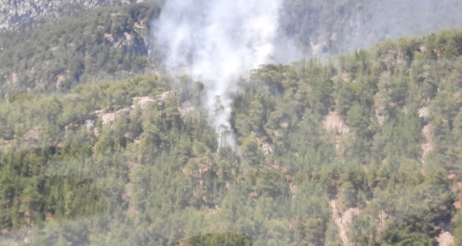 Antalya’da korkutan orman yangını