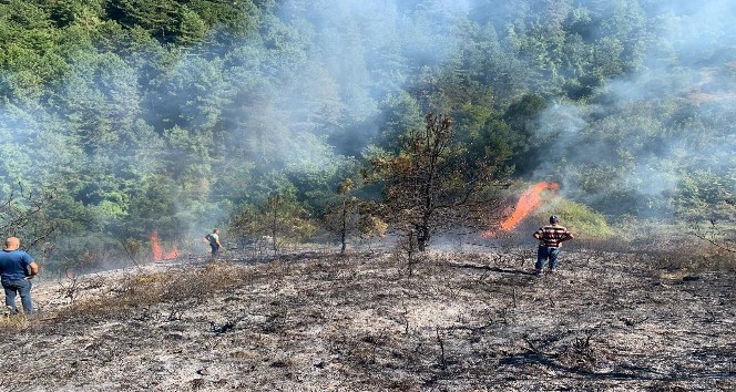 Zonguldak’ta orman yangını