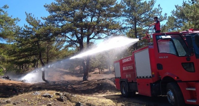 Osmancık’ta orman yangını