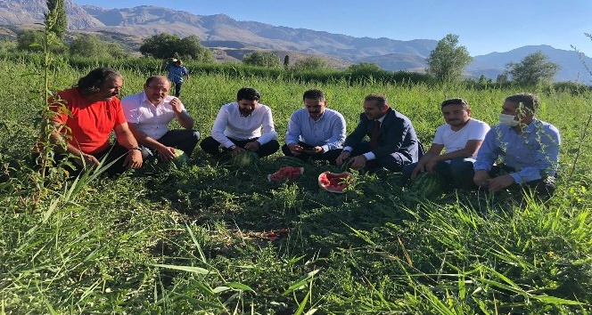 Erzincan’da karpuz hasadı başladı