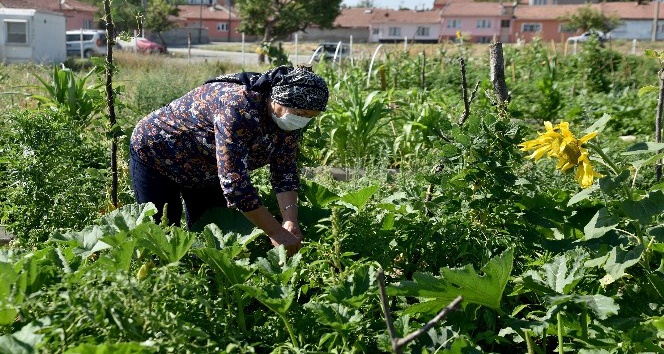 Vatandaşları toprakla buluşturan Esentepe Mahalle Bahçesi beğeni topluyor