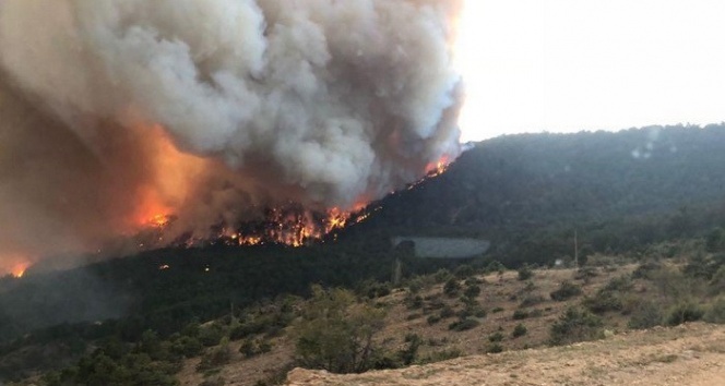 Bolu’da, orman yangınında 1 dönümlük alan zarar gördü