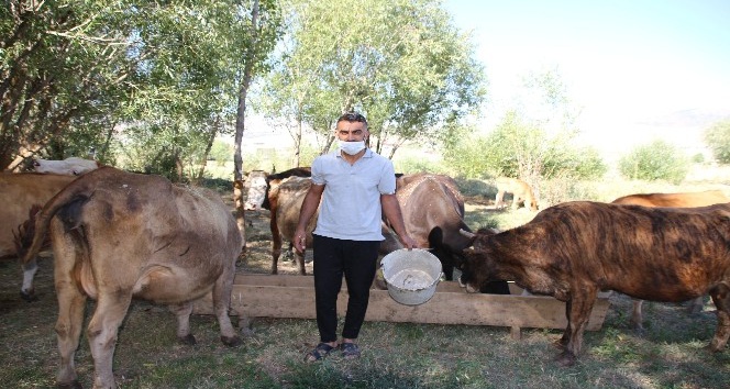 Varto’da genç çiftçi, kiraladığı ahır satılınca hayvanları ile birlikte dışarıda kaldı