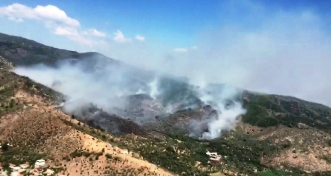 Milas’taki orman yangınına müdahale sürüyor