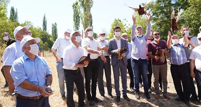 61 kişinin ölümüne neden olan keneleri yok etmek için yetiştirildiler