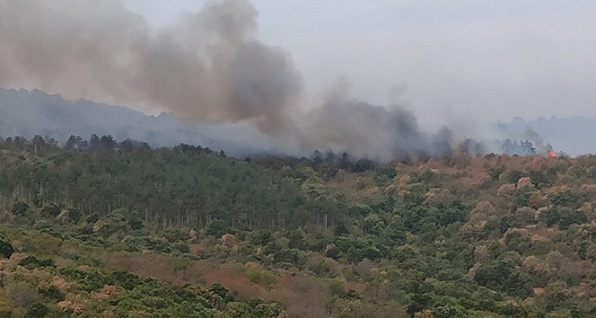 Orman yangınında üçüncü gün, alevler Türkiye&#039;ye ilerliyor