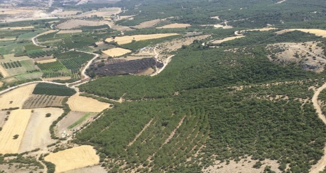 Çanakkale’de tarım arazisindeki yangın kontrol altında