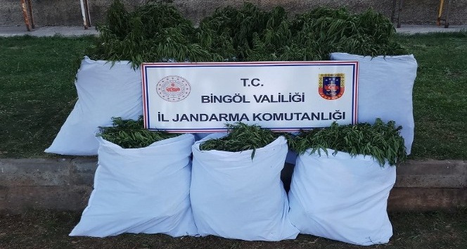Bingöl’de 176 kilogram kubar esrar ele geçirildi