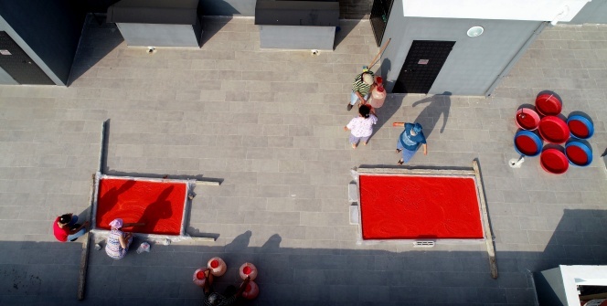 Adana’da salça sezonu başladı, damlar kırmızıya boyanıyor