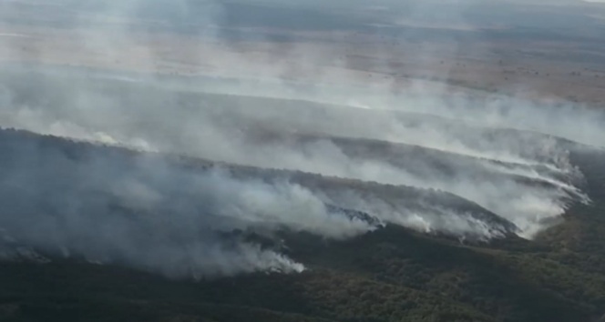 Bulgaristan&#039;daki orman yangınının Türkiye’ye sıçraması önlendi