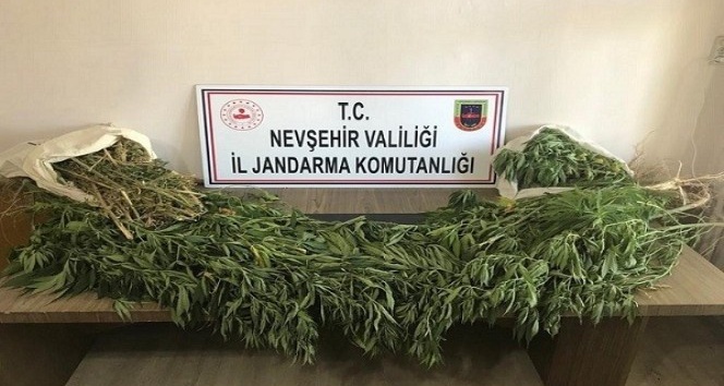 Nevşehir’de 2 kilo esrar ele geçirildi