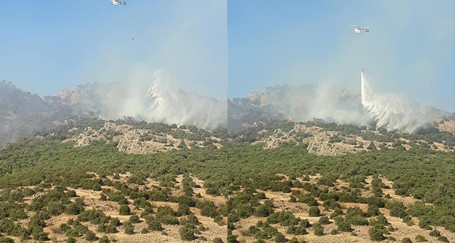 Balıkesir&#039;de orman yangını!