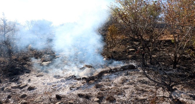 Yozgat’ta çıkan ot ve çalılık yangını korkuttu