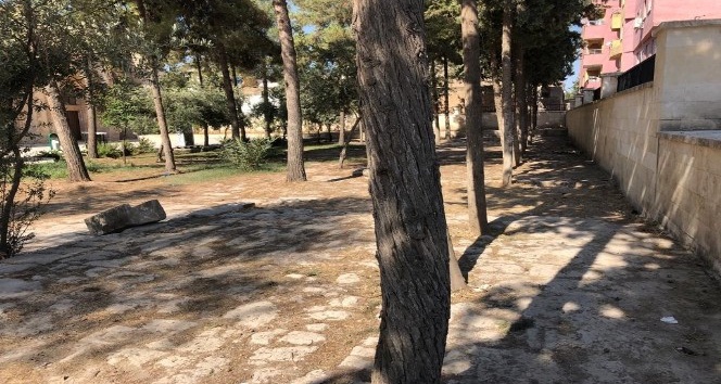 Kızıltepe Belediyesi çöplüğe dönen Ulu Cami bahçesini temizledi